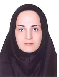 وکیل پریسا محمدی کانون ایلام