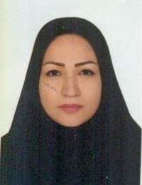 وکیل سمیه فتحی کانون زنجان